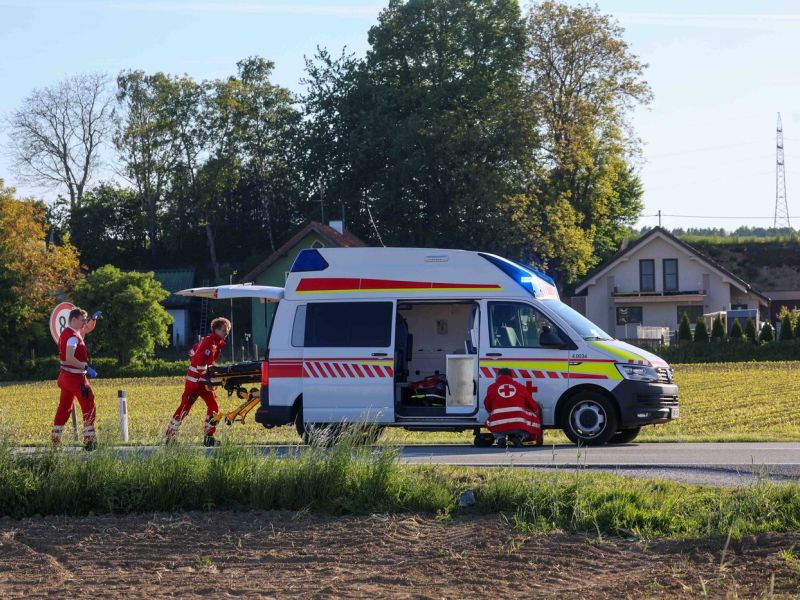 Za 8-letnega dečka usodna pomoč očetu, poginil tudi družinski pes