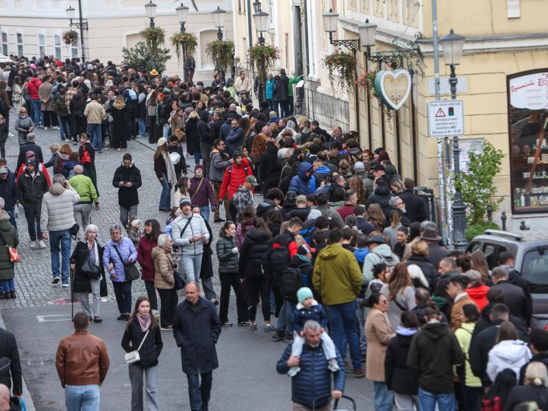 Naval volivcev na srbsko ambasado v Ljubljani: pričakovana udeležba 3.800 ljudi