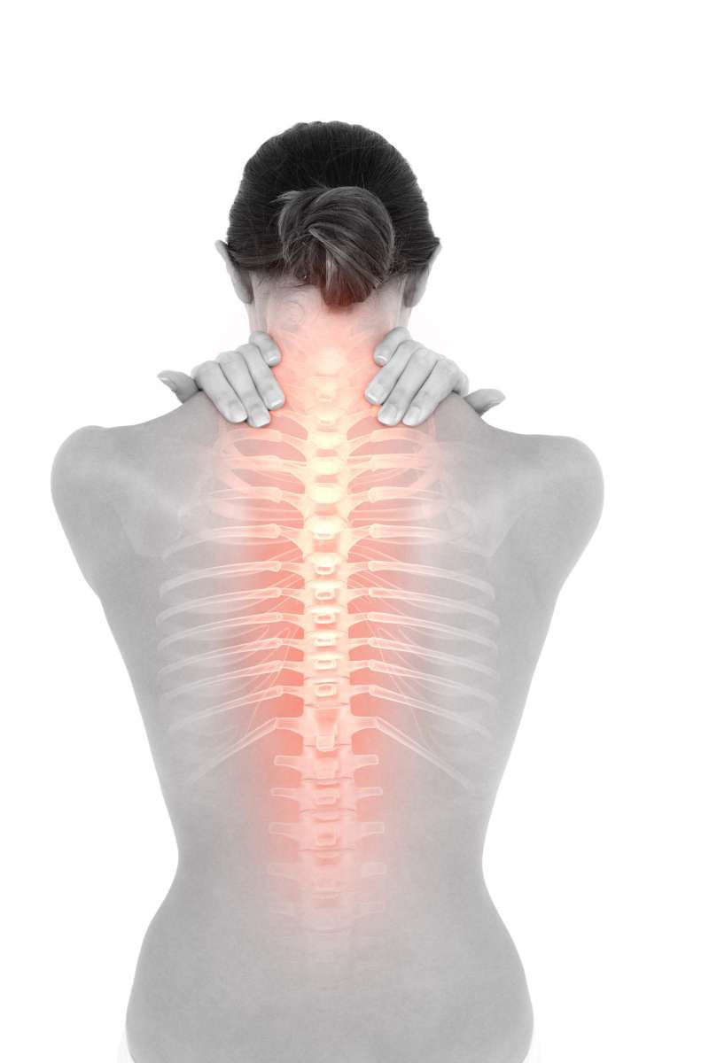 33 kosti, imenovanih vretenca, sestavlja človeško hrbtenico.
