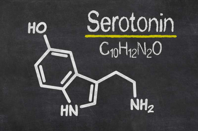 Serotonin – hormon sreče.
