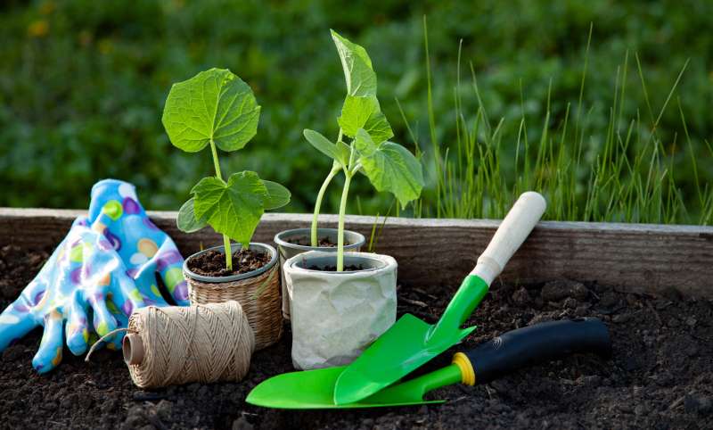 Kmetijsko ministrstvo za premagovanje krize ljudem predlaga vrtnarjenje.
