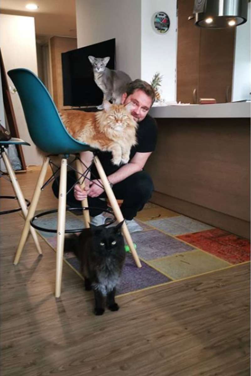 Igralcu Juriju Zrnecu in njegovi življenjski sopotnici Aleksandri Ilijevski doma družbo delajo kar trije mački.