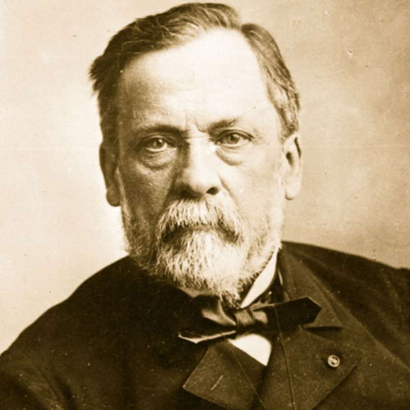 Louis pasteur что открыл