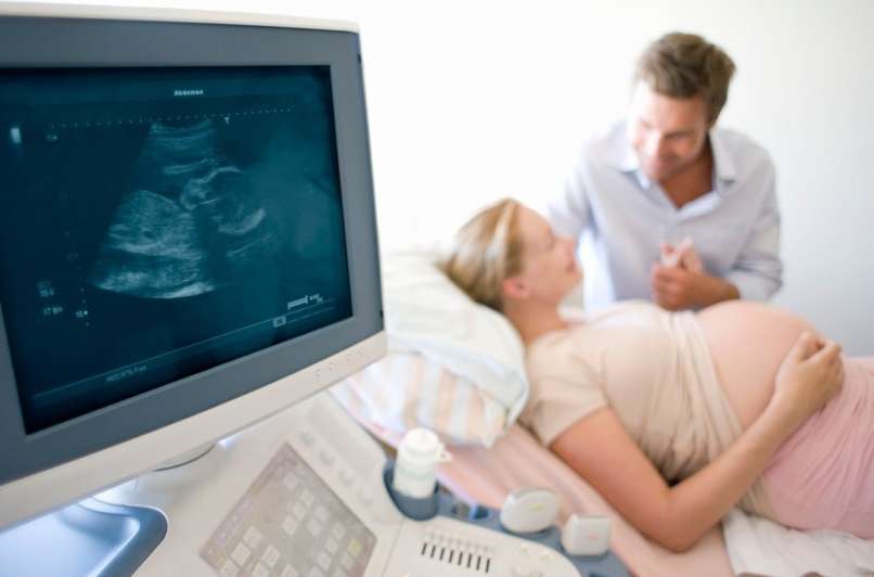 ultrazvok, nosečnost, zarodek, fetus