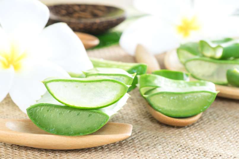 Aloe Vera - kožne tegobe lahko blažimo z naravnimi sredstvi.