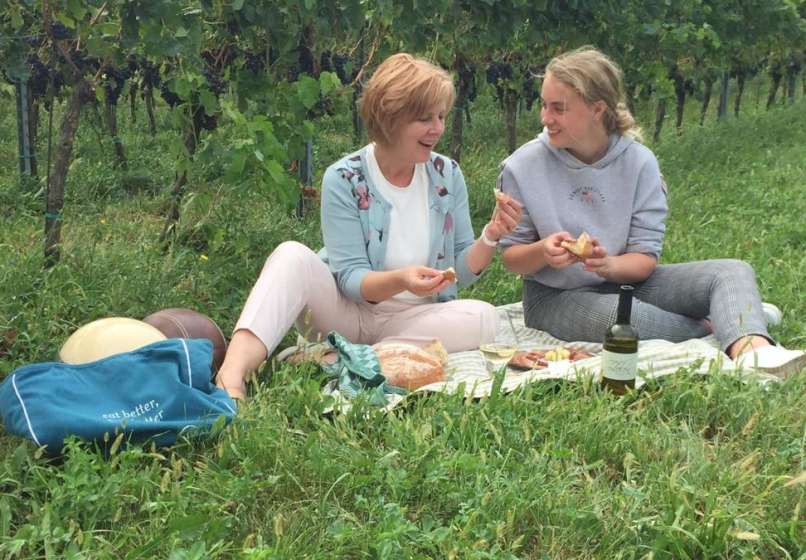 piknik v vinogradu