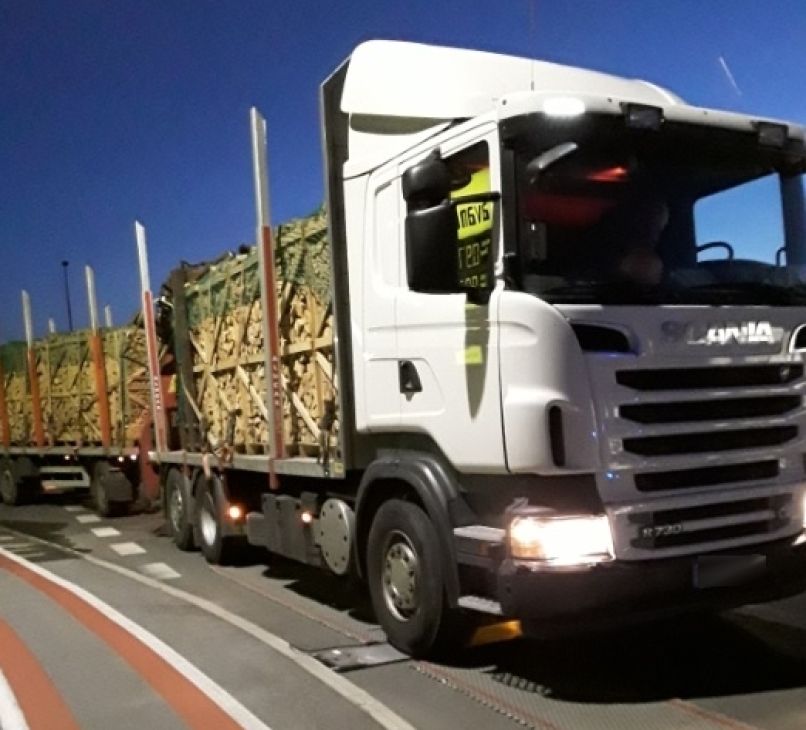 tovornjak, preobremenitev, masa