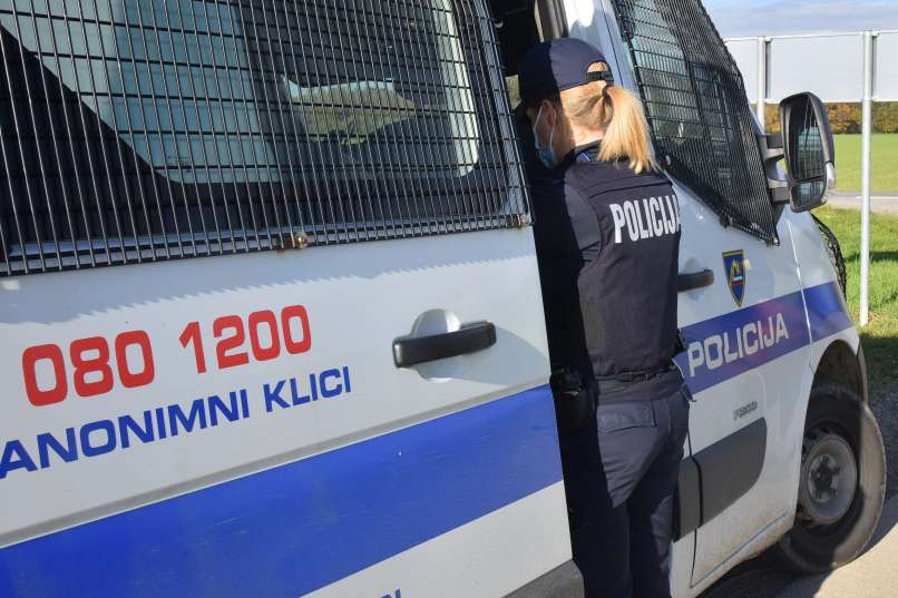 Vlada je danes na dopisni seji potrdila dogovore med notranjim ministrstvom, policijo ter Poljsko, Madžarsko, Romunijo, Litvo, Latvijo in Estonijo o uvedbi skupnih patrulj in drugih skupnih oblik ukrepanja za obvladovanje nezakonitih migracij na meji Slovenije s Hrvaško.