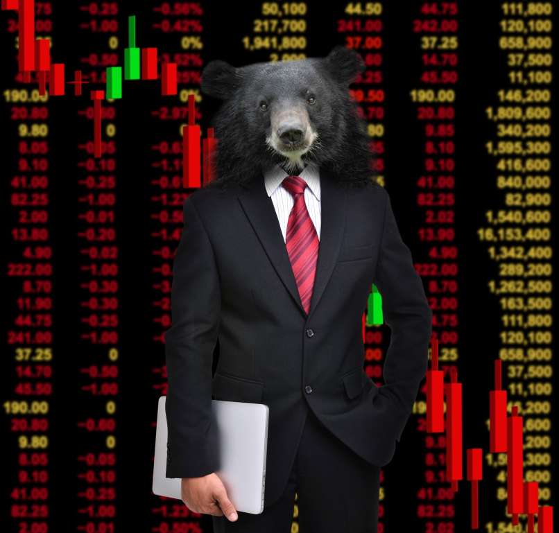 medved, medvedji trg, naložba