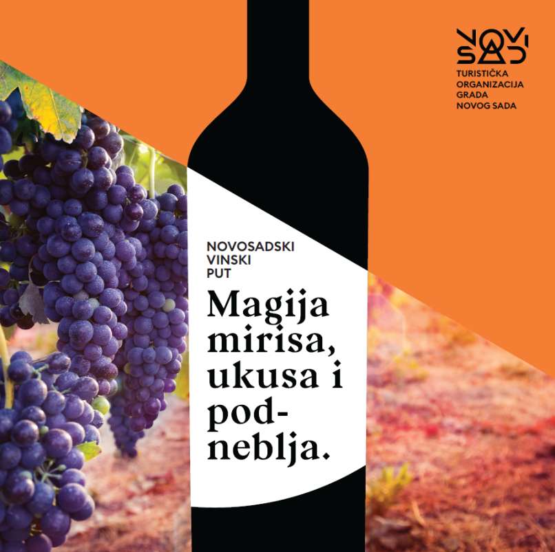 La Strada del Vino di Novi Sad ti invita a divertirti