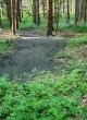 hoče-slivnica, pivola, onesnaženje