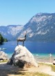 706956_175-bohinj