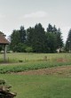 tomaz-kraskovic