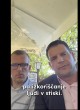 boris-mijic, zoran-stevanovic
