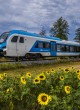 ZEN26-2512_Celje_mk_X