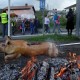 protest jelsane migrantski center bobo5