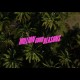 Robin Schulz x FAST BOY