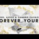 Kygo, Avicii