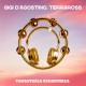 GIGI D'AGOSTINO & TERRARÒSS