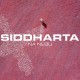 SIDDHARTA