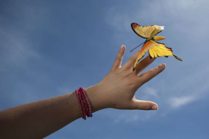 6 Prsti, dlan, metulj
