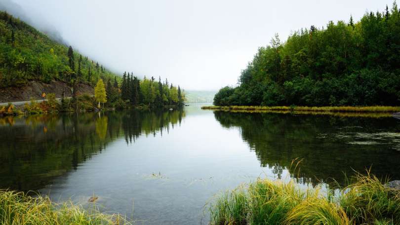 mokrišča, svetovni-dan-mokrišč