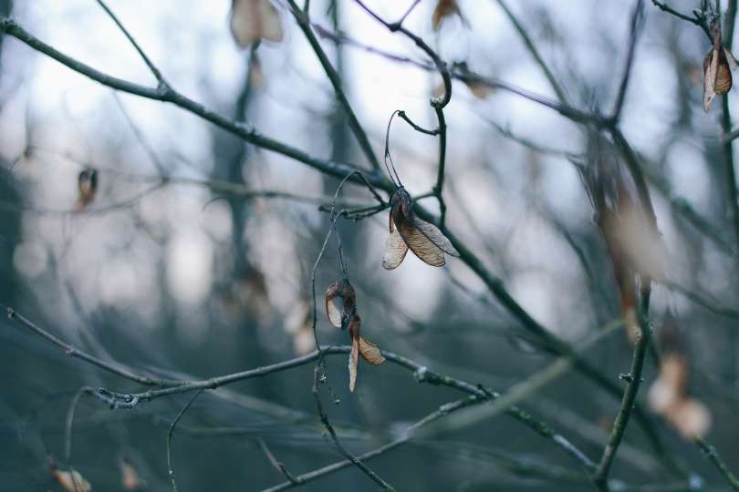 Fotografija je simbolična.