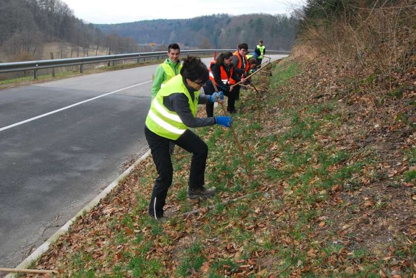 dvoživke, prenašanje-dvoživk, zaščitne-mreže, blaguš