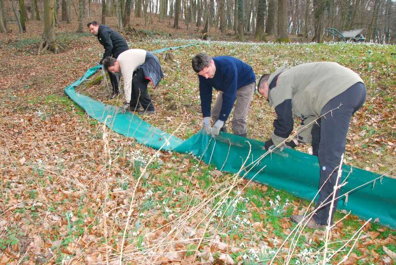 dvoživke, prenašanje-dvoživk, prostovoljci, zaščitne-mreže