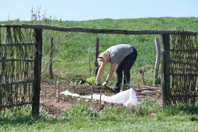 murska-sobota, vrtičkarji, vrt, samooskrba, zelenjava