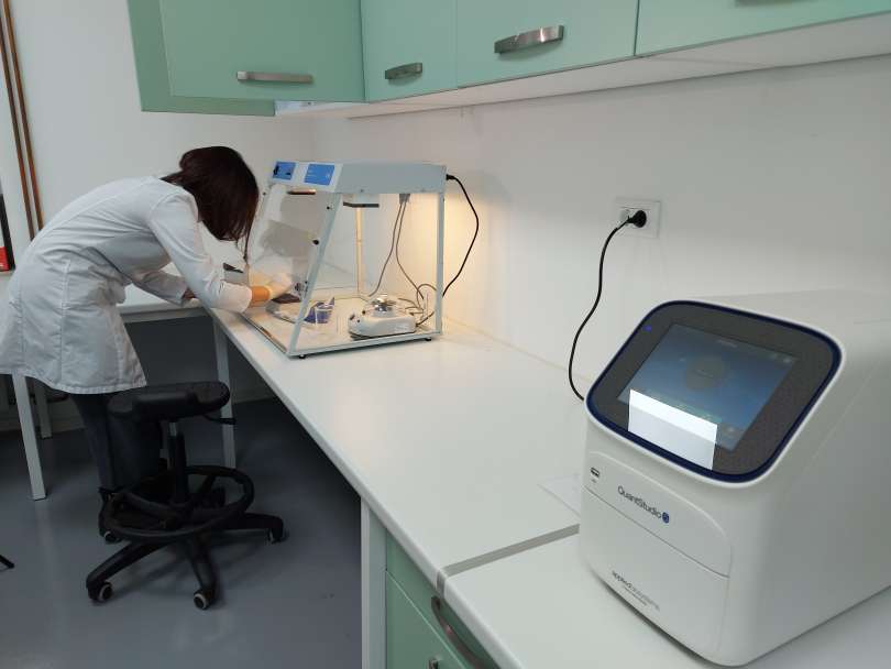 laboratoij PCR