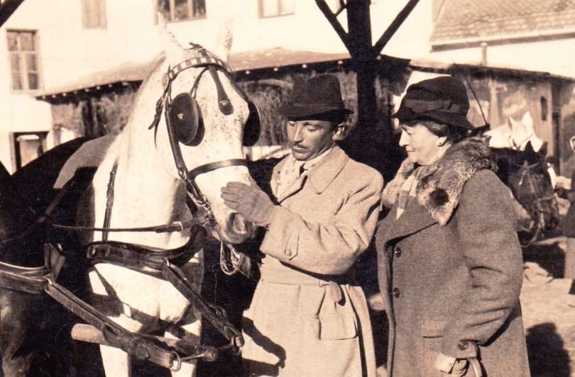 Lekarnar Panci in grofica Marija Zichy tik pred 2.vojno