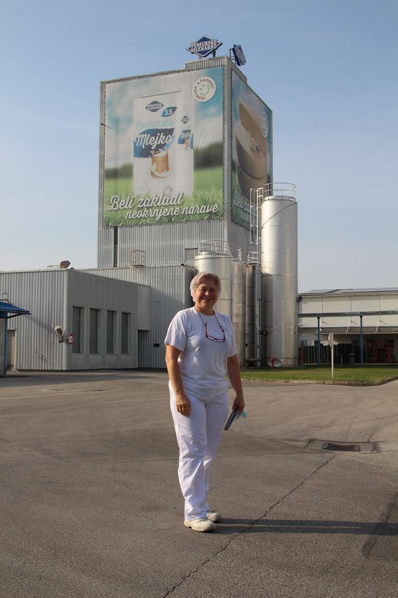 pomurske-mlekarne, proizvodnja, tovarna, mlečni-izdelki