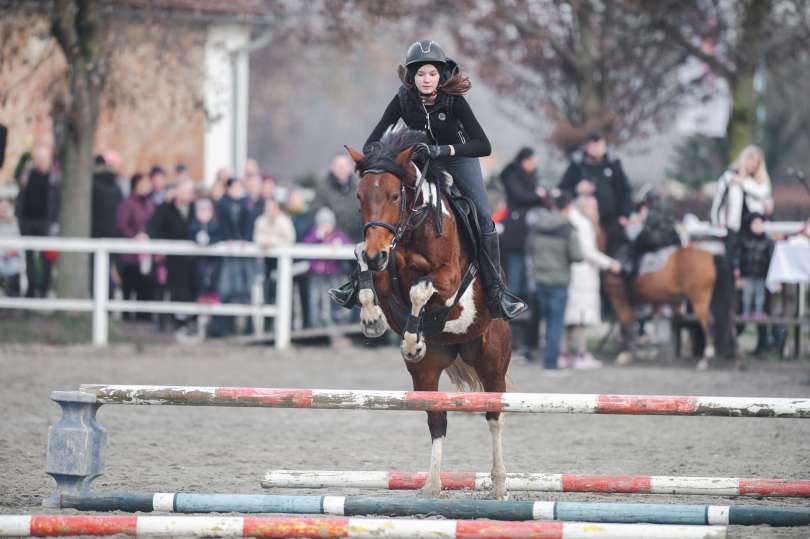 (FOTO) Tako So Blagoslovili Konje V Konjeniškem Centru Dvorec Rakičan ...