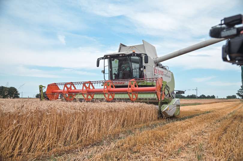 žetev-2023, pšenica, pšenice, kombajn, traktor, kmetijstvo, njiva, polje, panvita
