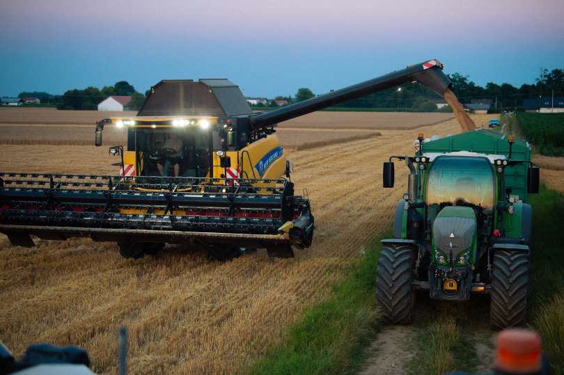 nočna žetev, žetev-pšenice, kmetija-meolic, pšenica