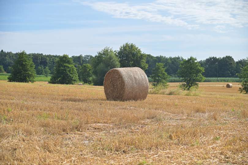 Žetev pšenice, ki se je letos zaradi zgodnejše vegetacije začela 10 do 14 dni prej kot običajno, se je pred dobrim tednom in pol sklenila tudi v Pomurju, večina kmetov pa je v tem času z njiv pospravila tudi ostanke po žetvi.