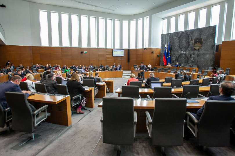 državni zbor, parlament