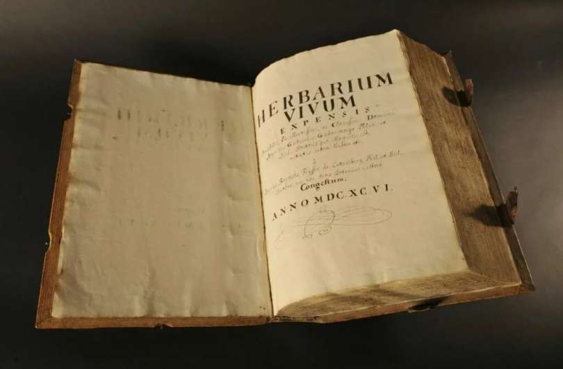 Herbarijsko knjigo je leta 1696 uredil doktor filozofije in medicine Janez Krstnik Flysser iz Ljutomera.