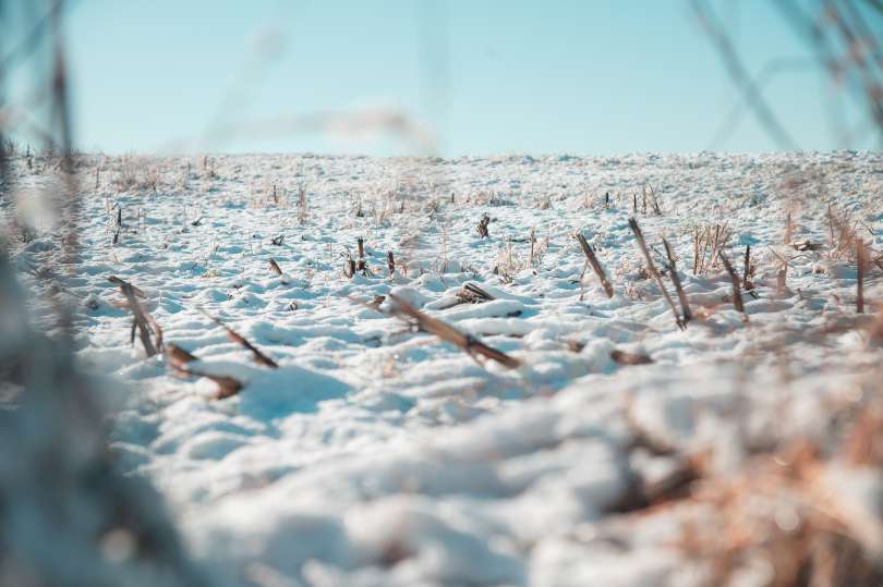 Fotografija je simbolična.