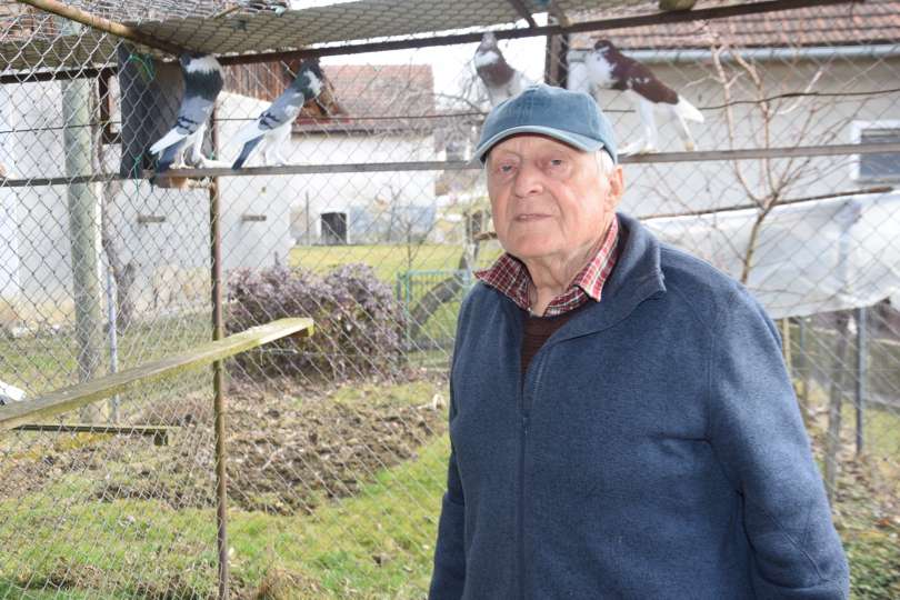 Francu Šinku so golobi v veselje že vse življenje. Foto Maja Hajdinjak