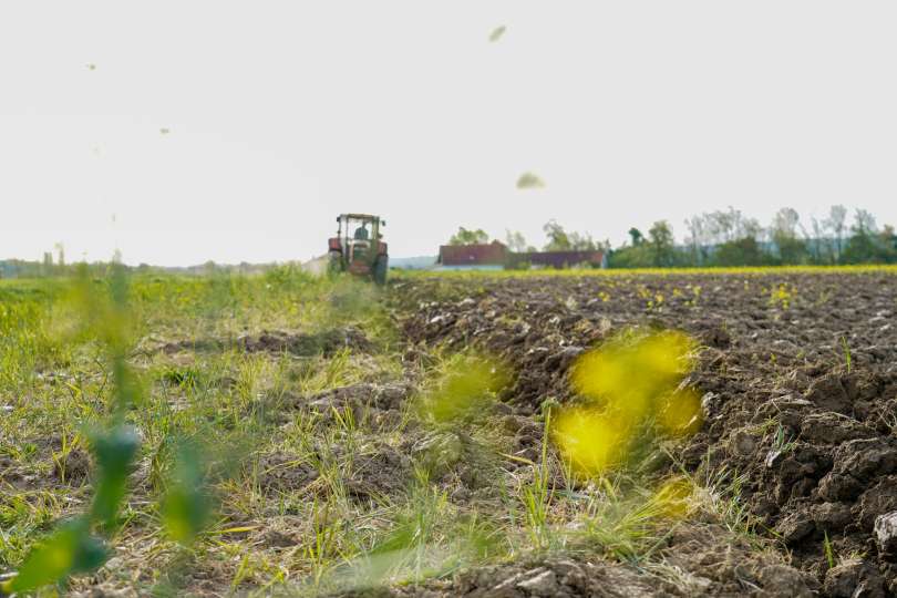 kmetijstvo, poljedeljstvo, njive, traktor, gnojenje