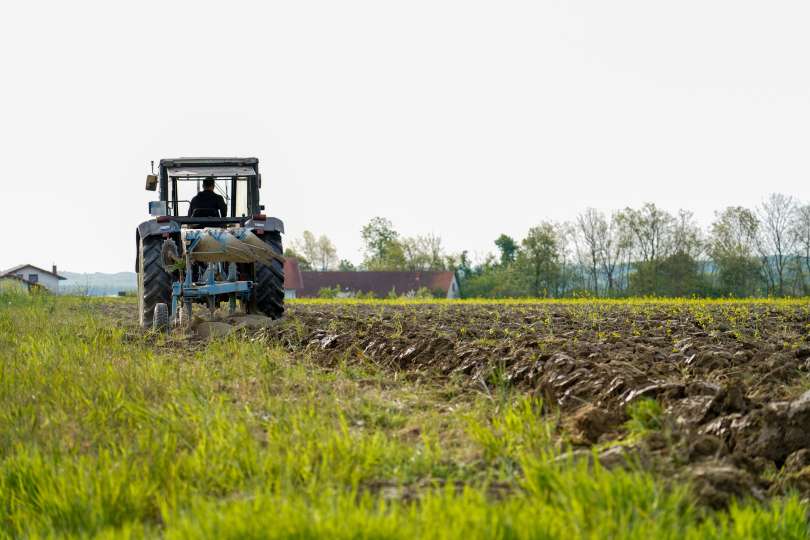 V zadnjih petih letih so cene kmetijskih zemljišč v državi zrasle za 41 odstotkov, najbolj ravno v Prekmurju, in sicer za 56 odstotkov.
