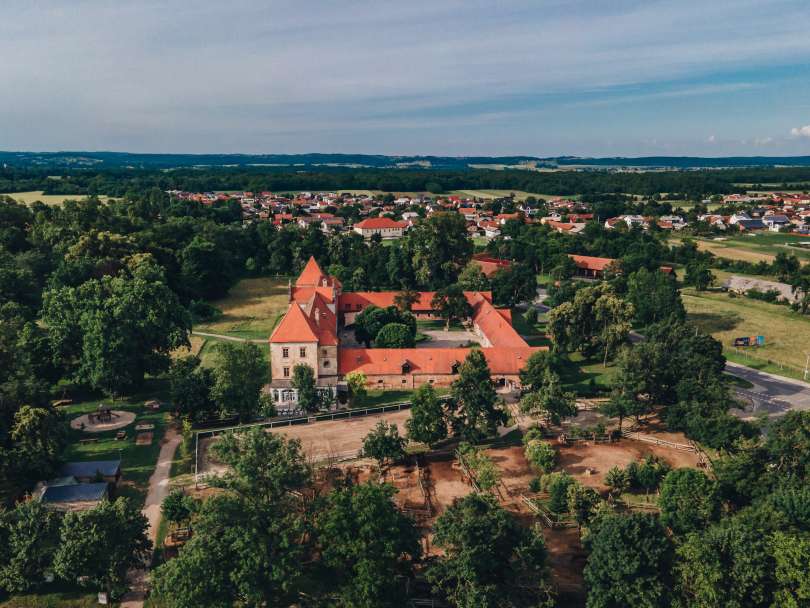 ris, dvorec-rakičan, grad, rakičan, dron