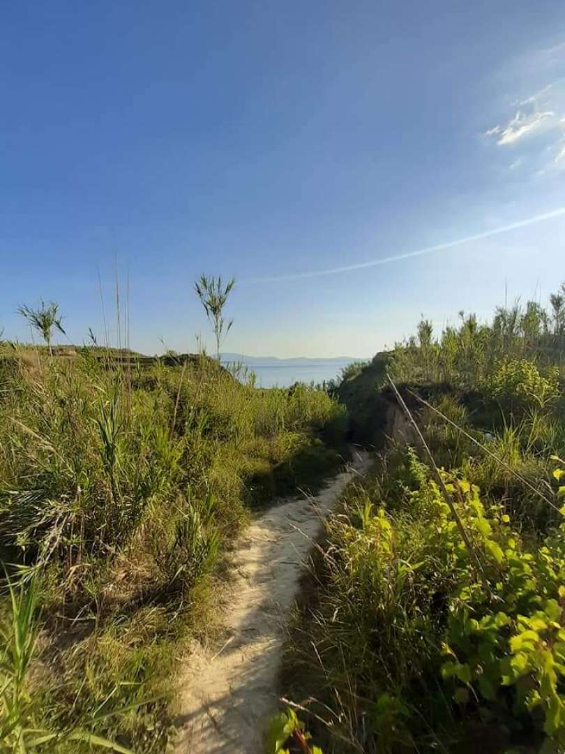 otok-susak