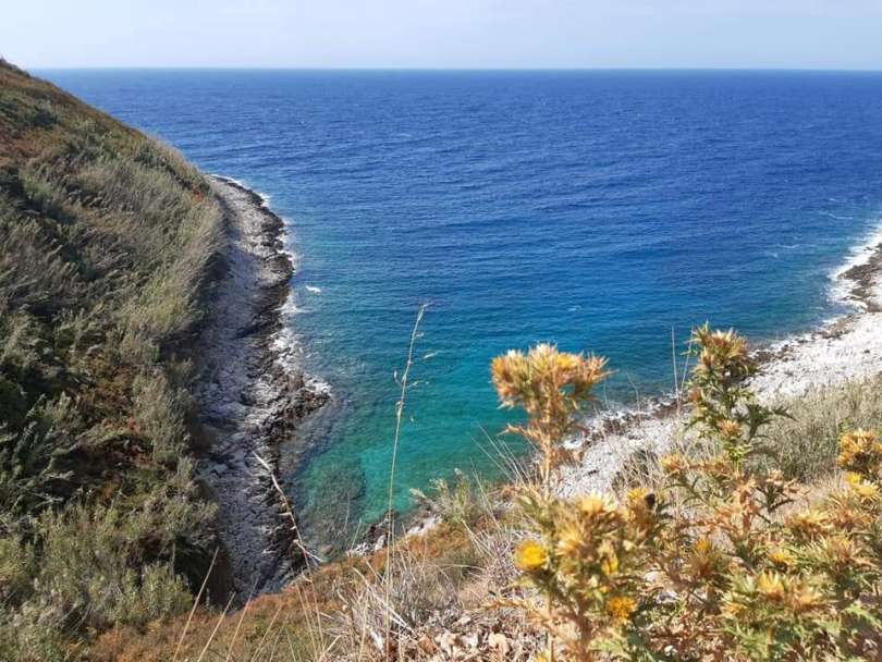 otok-susak