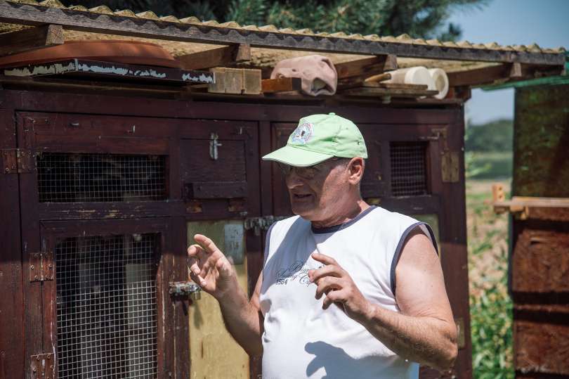 branko-pajič, tekmovanje-z-golobi, golob, simbolična