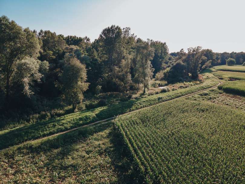 nasip, mura, dolnja-bistrica, dron