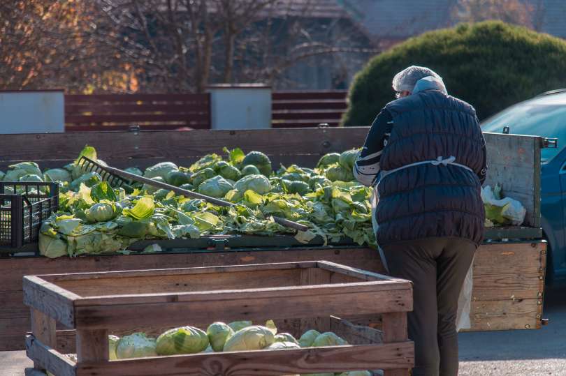 kisanje-zelja-majer-šinko, skakovci