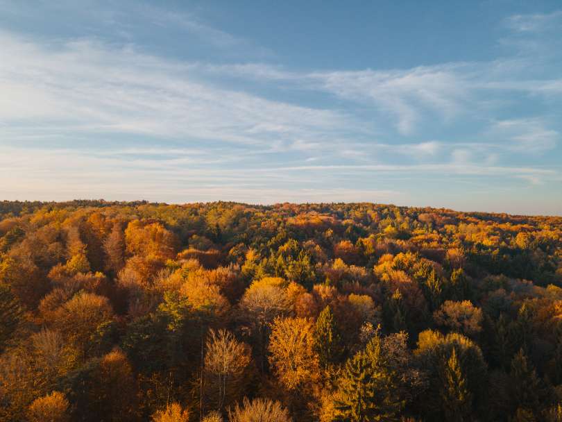 Fotografija je simbolična.